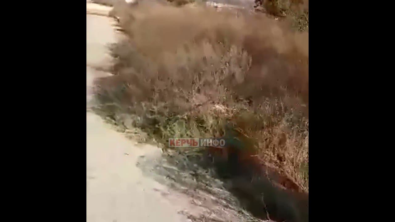 Открытые ямы, заросшие травой керчане рассказали об опасностях улицы Котовского смотреть онлайн
