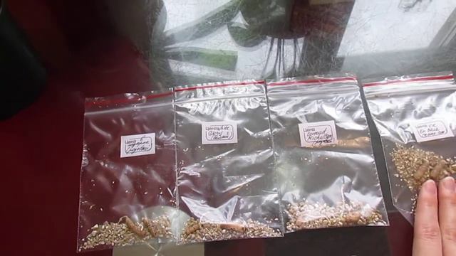 Комнатные цветы. Что появилось и чего не стало.. смотреть онлайн