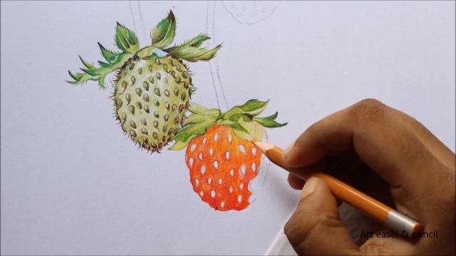 Strawberries Drawing in Color Pencils | Fruit Drawing | How to Draw Strawberries смотреть онлайн