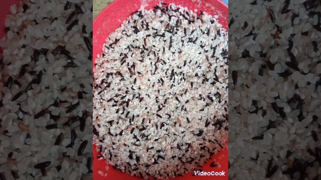 плов три риса,бурый, темная ночь и обычный белый, не совсем удачно, чёрный готовится дольше других. смотреть онлайн