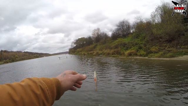 Рыбак-эксперт