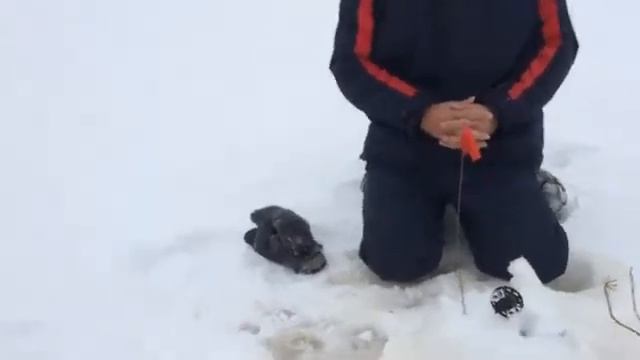 Озеро щучье,рыбалка на жерлицы смотреть онлайн