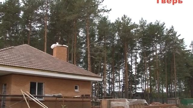 Коттеджи для богатых строят в заповедном бору смотреть онлайн