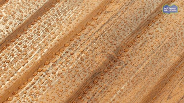 Покрытие ECOSTEEL® Цвет Золотой Дуб, текстурированный