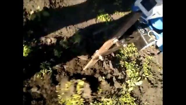 Веерная картофелекопалка самодельная, мотоблок Нева смотреть онлайн