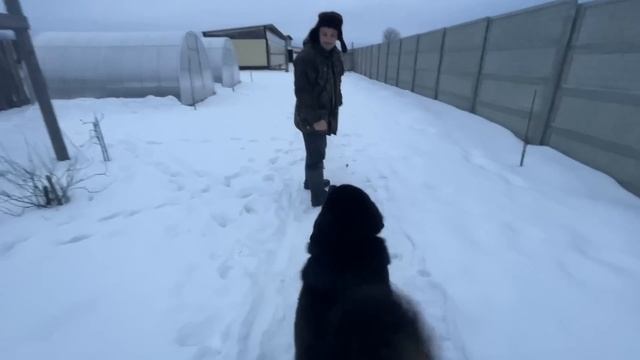 МЫ ВСЕ ПРОДАЛИ! ЦЕЛЫЙ ДЕНЬ ПРИНИМАЛИ ГОСТЕЙ?! НАША ФЕРМА! ЖИЗНЬ ПРОСТЫХ ЛЮДЕЙ В ДЕРЕВНЕ! смотреть онлайн