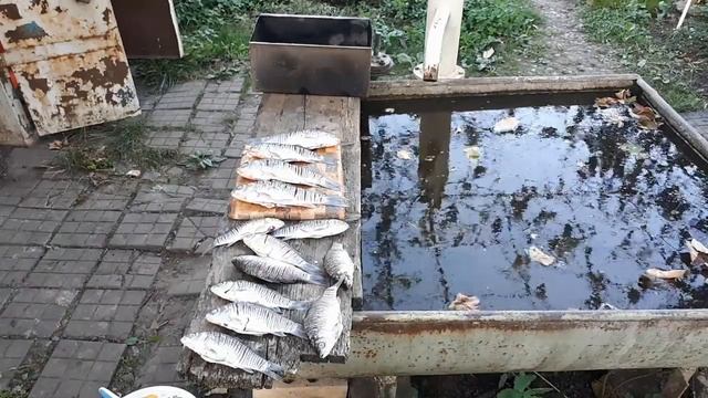 Закоптил карасей и они без костей. смотреть онлайн