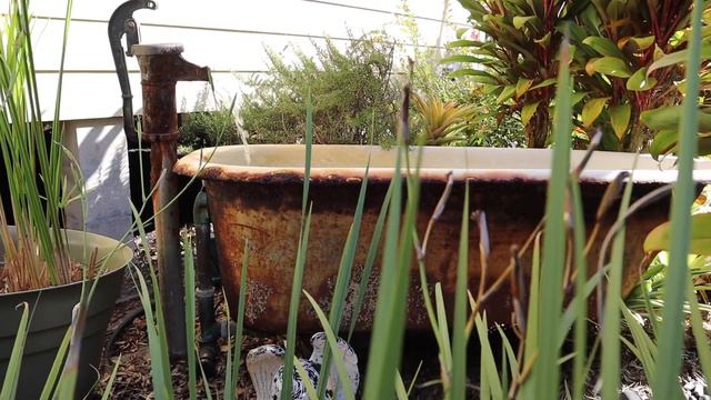Garden Update: Did the Babies Survive? смотреть онлайн
