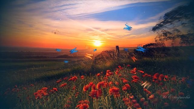 AdobeAfterEffects МК-17 футаж Бабочки в ночи Работа с проектами смотреть онлайн