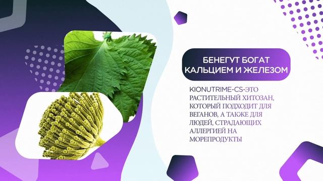 Для чего необходим GreenMAX?