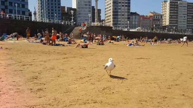 #GIJON #SPAIN #Хихон #Испания Город на берегу океана! #Астурия смотреть онлайн
