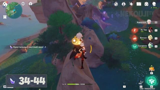 КРИСТАЛЬНЫЙ КОСТНЫЙ МОЗГ - Сбор всех. ЛУЧШИЙ Маршрут | Genshin Impact