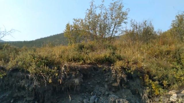 Легкая прогулка на Бутугычаг часть2 кладбище на Нижнем Бутугычаге смотреть онлайн