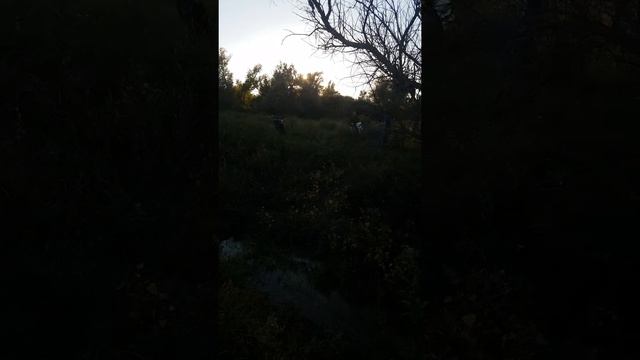 Wels crf 250 смотреть онлайн