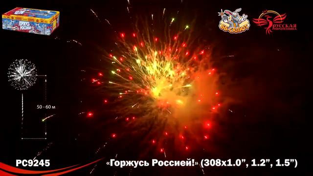 Фейерверк РС9245 Горжусь Россией! (1", 1,2", 1,5" х 308) смотреть онлайн