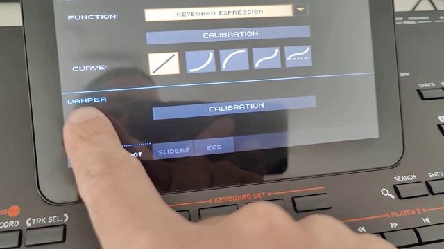 Korg PA Modellerinde Piano Damper ve Sağ el (Ayak) Pedal ayarları. Sustain ve Expression ayarları смотреть онлайн