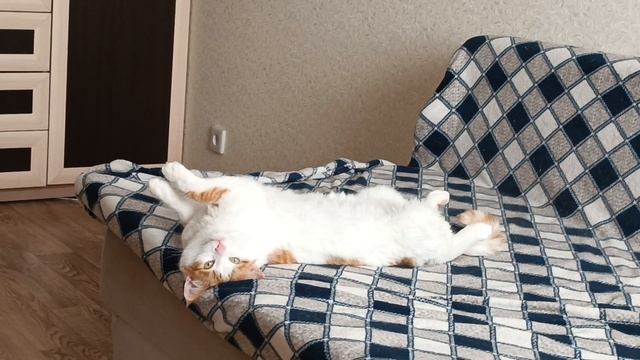 Кузя смотреть онлайн