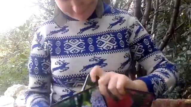 про то, как можно высадить цветы смотреть онлайн