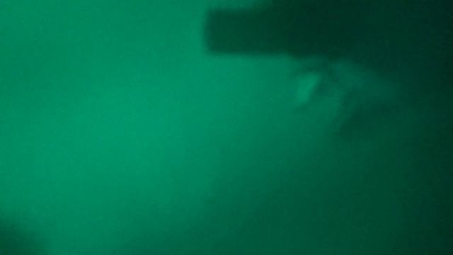 Хомяк Кузя гуляет 19 августа 2013 (1080p) смотреть онлайн