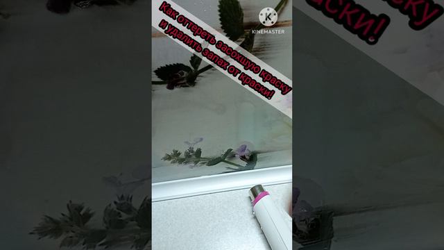 Как отчистить засохшую краску.