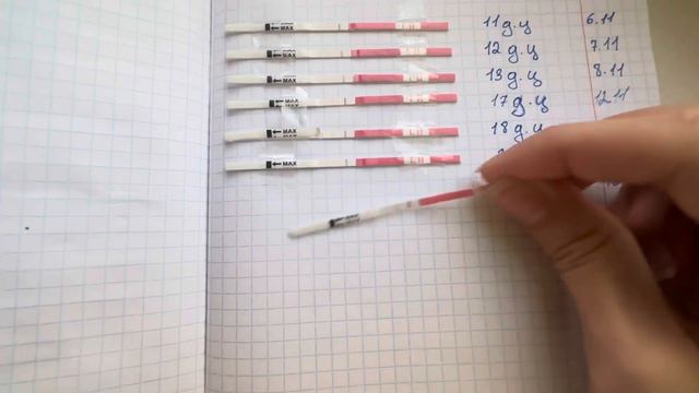 Ановуляторный цикл| Дневник восстановления цикла после отмены КОК | СПКЯ смотреть онлайн