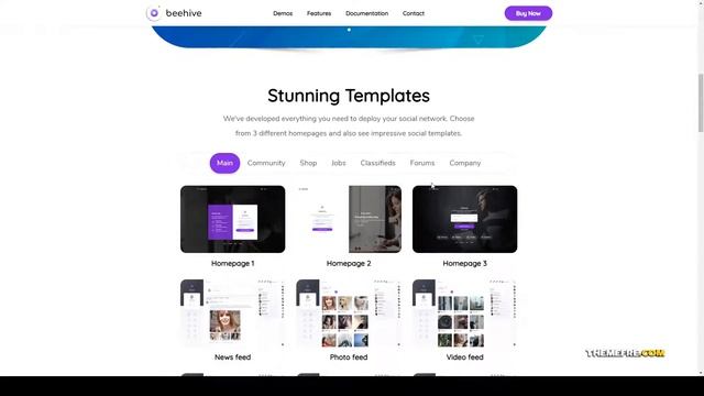 Beehive - Social Network WordPress Theme education private Community Build Website смотреть онлайн