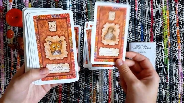 Shaman Wisdom Cards // Review смотреть онлайн