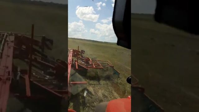 Согребание сена(5) смотреть онлайн