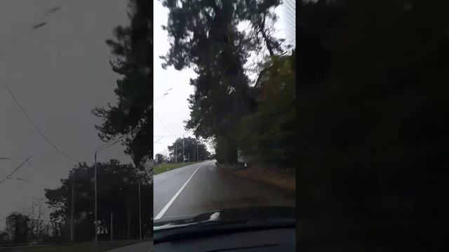 "Там кукушка кукует, мое сердце волнует. Когда гостям ну очень хорошо-поём. Ваш #ДругИзСочи. Абхази смотреть онлайн