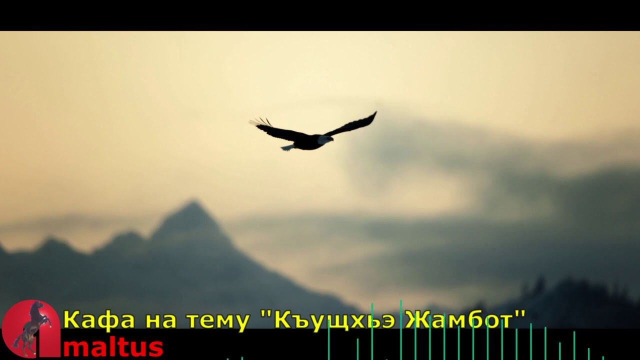 Кафа на тему "Къущхьэ Жамбот" [Amaltus] смотреть онлайн