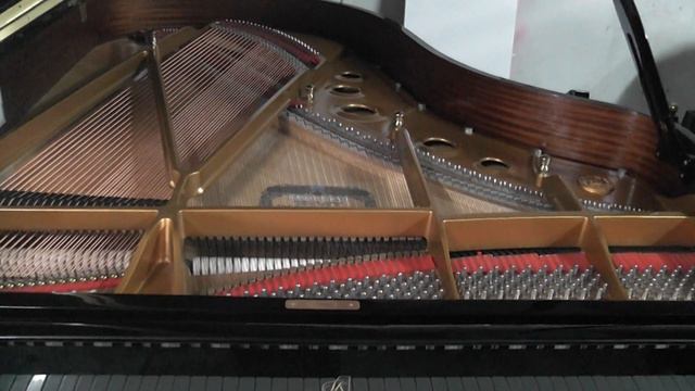 Introduction to Shigeru Kawai SK5 Grand Piano смотреть онлайн