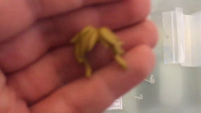 Figma Link Skyward Sword: Unboxing & Review en español смотреть онлайн
