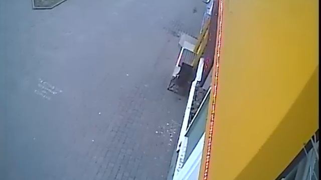 Как в Бердянске, на Азовском проспекте цветы воруют смотреть онлайн