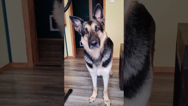 Точно не тренажер 🤩 смотреть онлайн