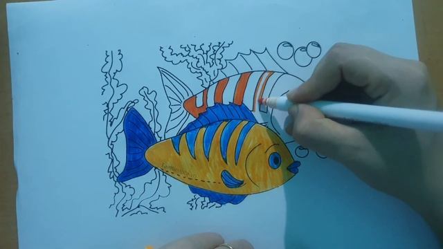 Color the picture of two fishes swimming around on the seabed смотреть онлайн