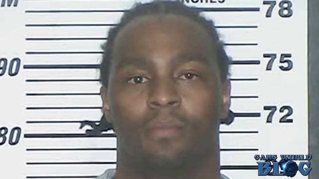 Bloodhound Brim leader ,39 alleged members hit with conspiracy charges linked to brutal murders смотреть онлайн