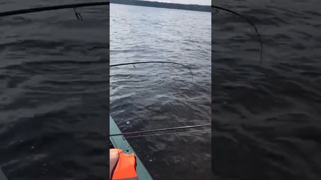 рыбалка Токарево на Волге 1 смотреть онлайн