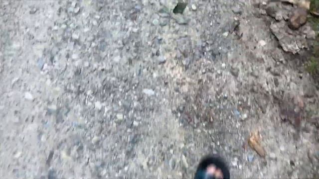 Звук шагов по грунтовой дороге смотреть онлайн