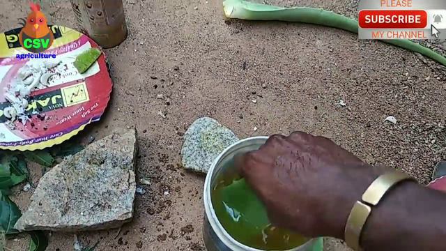 Nati Koli Ayurvedic medicine in Karnataka any disease not coming Nati Koli safety method смотреть онлайн