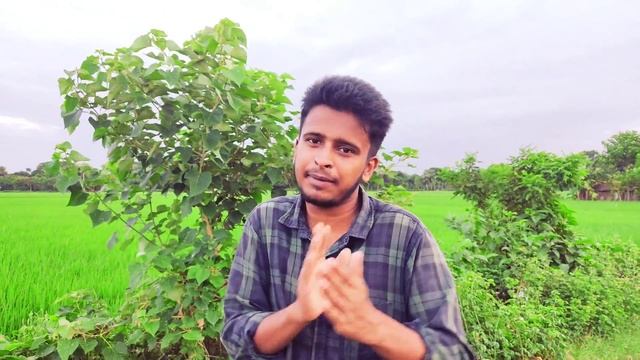রাজের কাছে মার খেয়ে কাঁদলেন নায়িকা | celebrity cricket league মারা'মারি দেখে মুচকি হাসলেন মেহজাবি смотреть онлайн