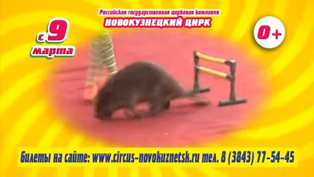 Новокузнецк смотреть онлайн