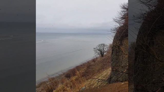 берег в икре или что делать , когда дома не сидится? смотреть онлайн