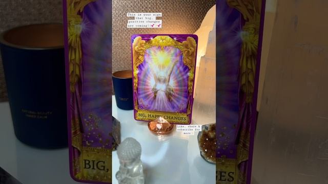✨This is your Sign from the Angels✨ #angels #asktheangels #oracle #oraclecards #oraclereading смотреть онлайн