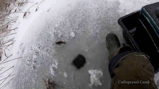 Ротан/Секретное Болото/Отжарил Ротана/Термос АрктикА смотреть онлайн