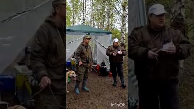 Русская гончая Умка диплом 1ст. з/б. вл. Поспелов Юрий. смотреть онлайн