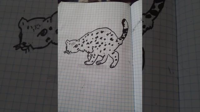 рисунок снежный барс|#рисунок #shorts #рисунки смотреть онлайн