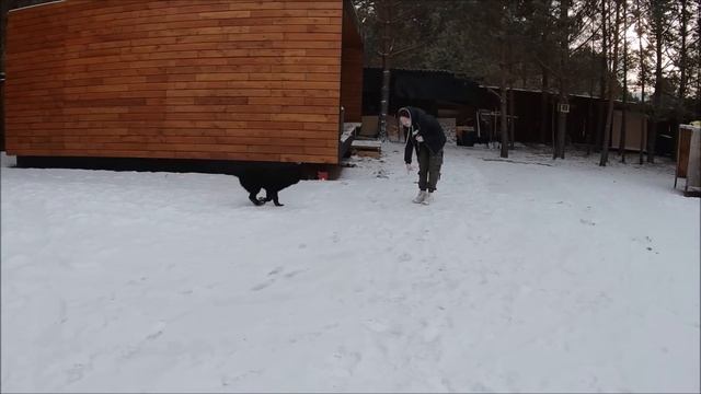 В подполе стало жарко. У Геры появился ........репетитор смотреть онлайн