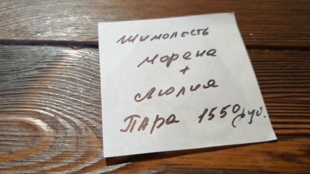 Внимание! Десять Пар Жимолости Морена + Люлия Предложение Ограниченно // С.Х.У смотреть онлайн