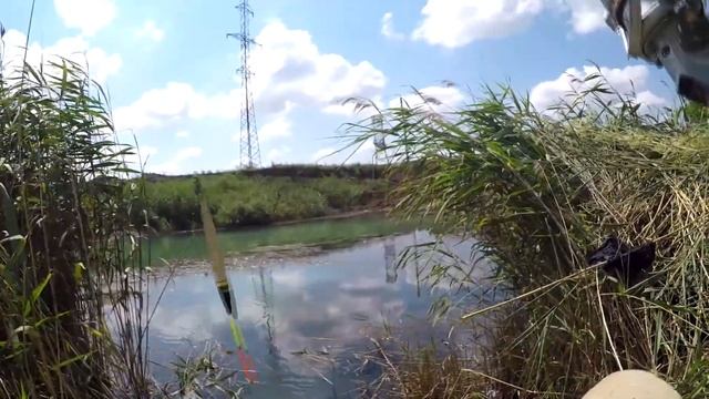 Ловля карася на поплавок? как живца, да и просто рыбалка? в удовольствие!?? смотреть онлайн