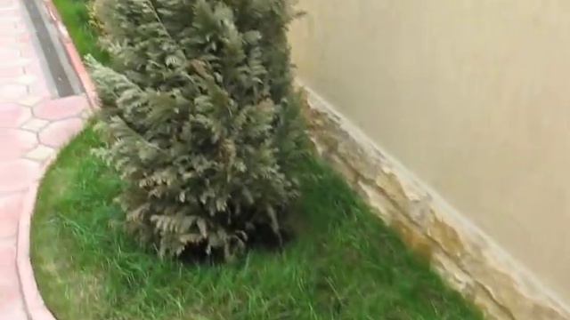 Архидом. Барис УЙ ТАШ 2 4 смотреть онлайн